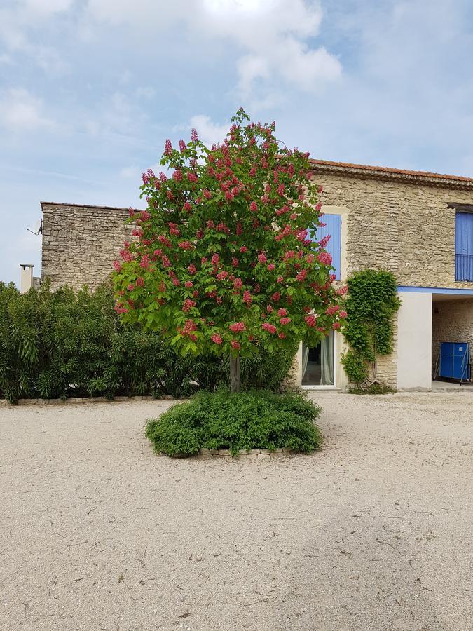 Bed and Breakfast La Pastorale Lagnes Exteriér fotografie